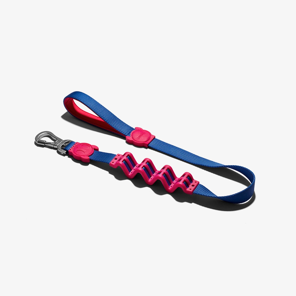 Correa Ruff con Amortiguador para Perros Shake