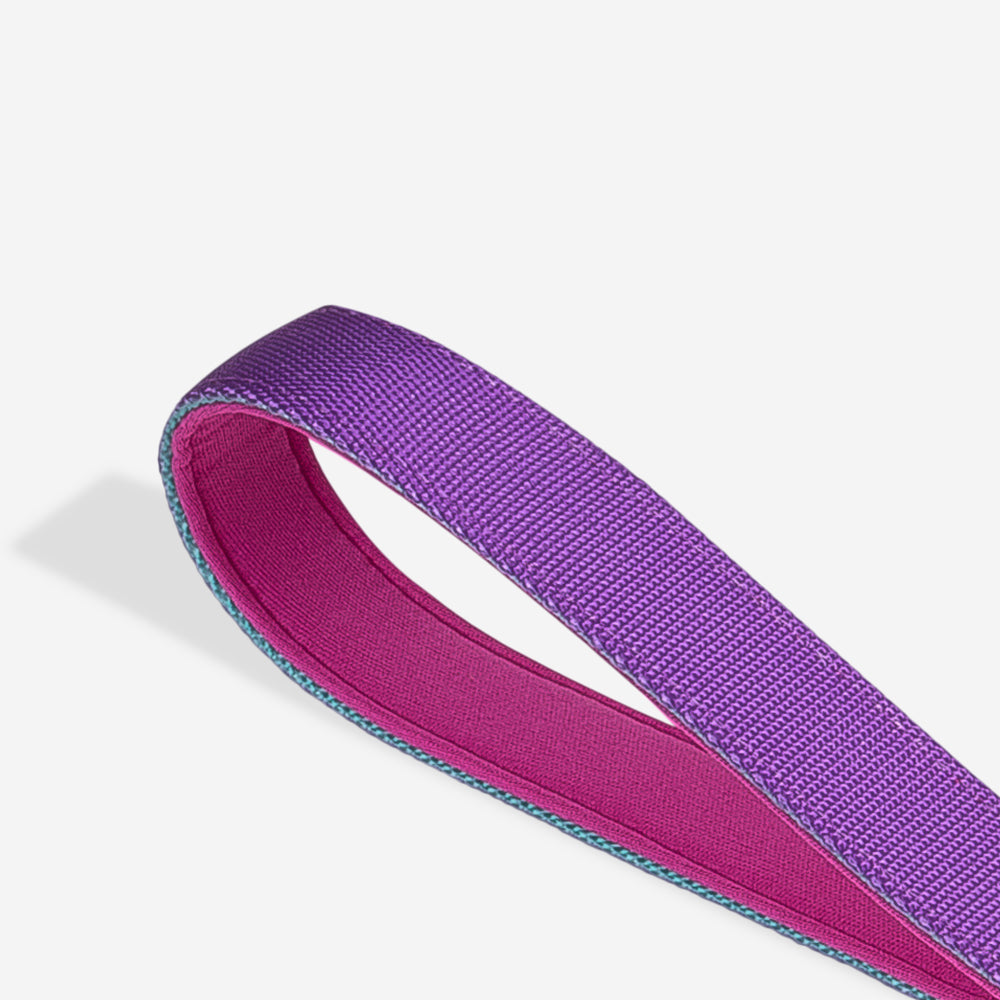 Correa Ruff con Amortiguador para Perros Shockwave