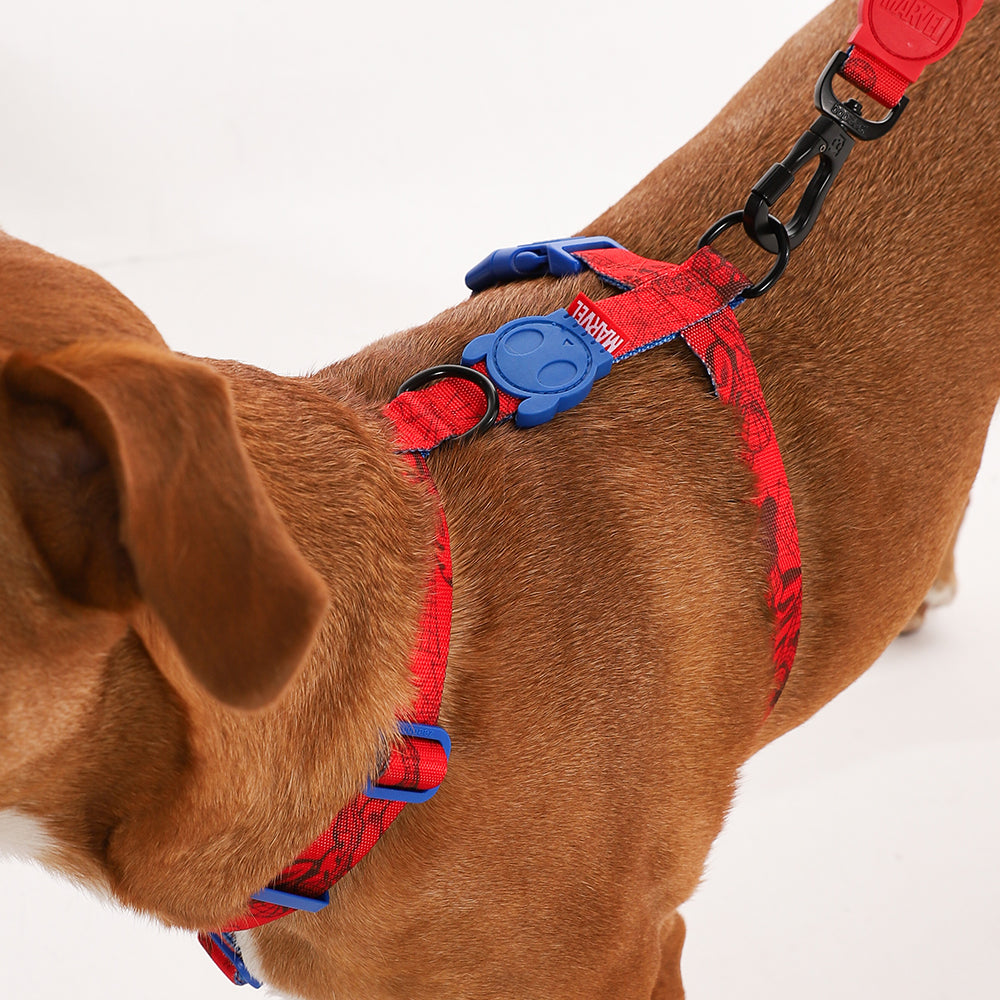 H-Harness para Perros Marvel Spider-Man
