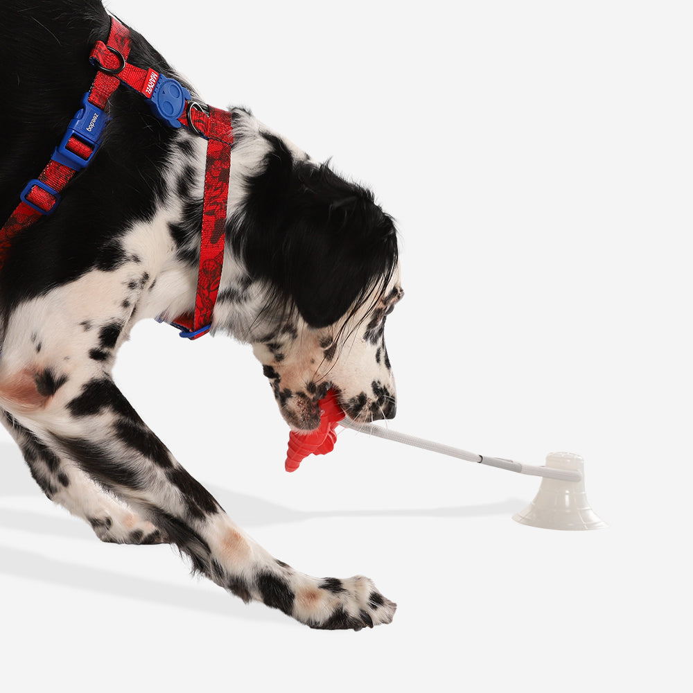 Juguete de Jalar para Perros Marvel Spider-Man Web
