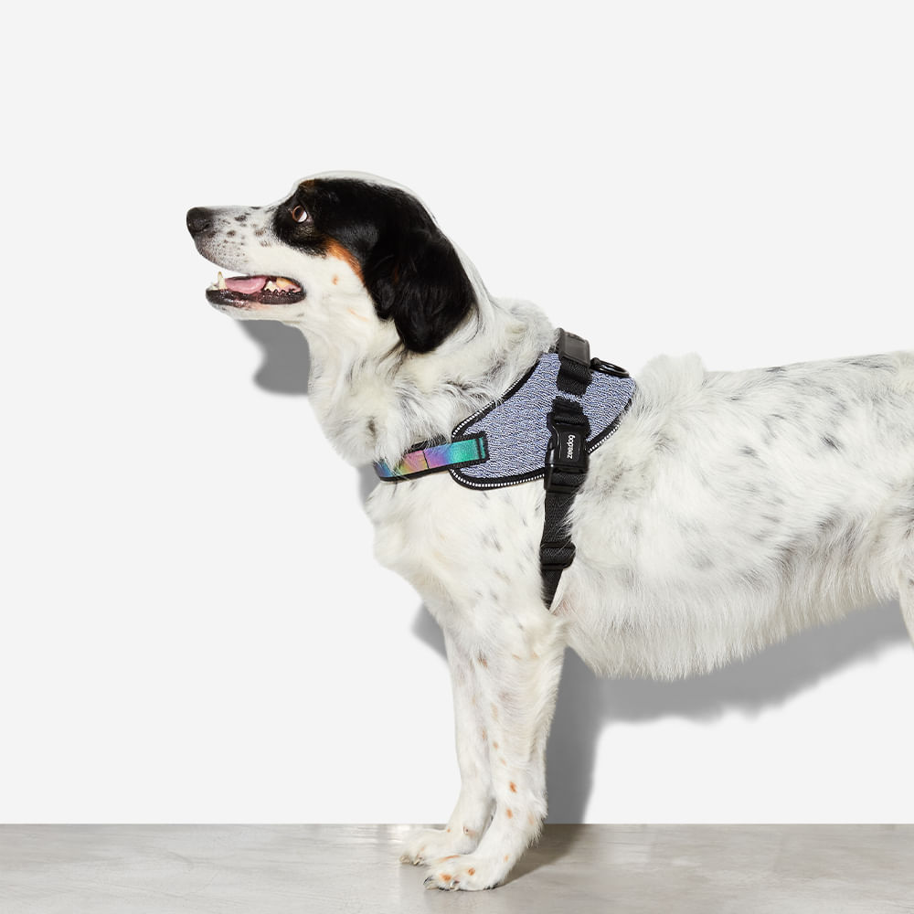 Pechera FlyHarness para Perros Urban