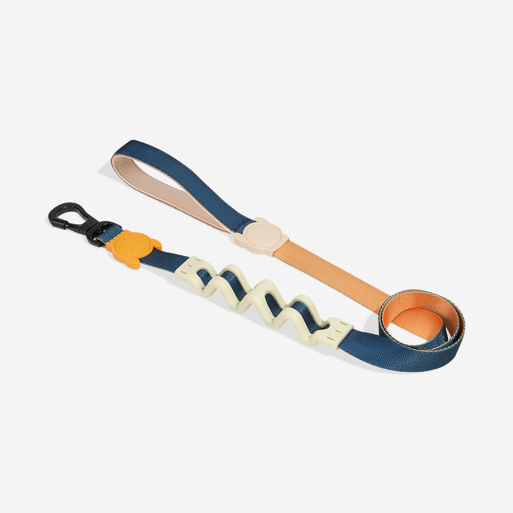 Correa Ruff con Amortiguador para Perros Voyage