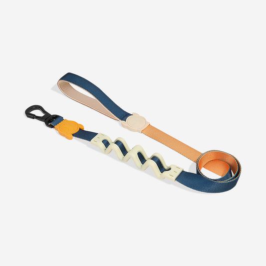 Correa Ruff con Amortiguador para Perros Voyage