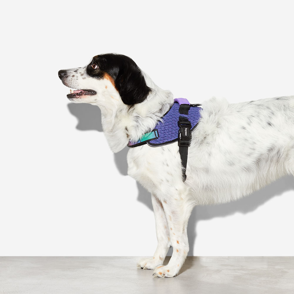 Pechera FlyHarness para Perros Wicked