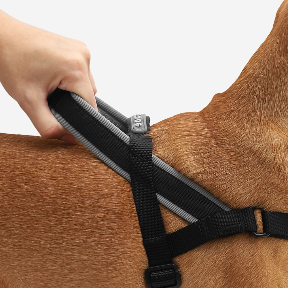 Arnés SofterWalk para Perros Jaladores Gotham