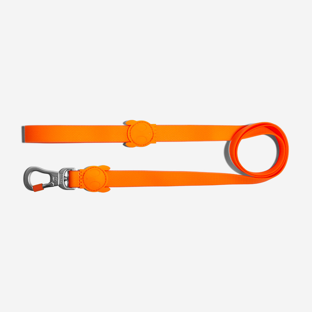 Correa para Perros Neopro Tangerine