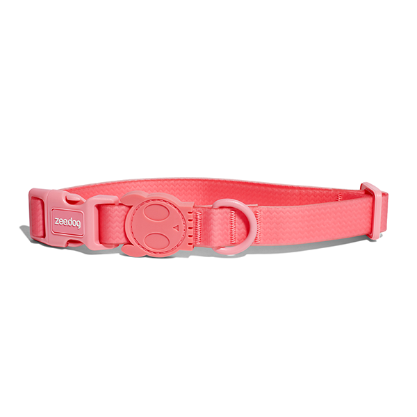 Collar para Perros Neopro Bubblegum