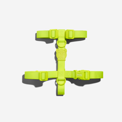 H-Harness para Perros Neopro Lime