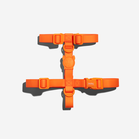 H-Harness para Perros Neopro Tangerine