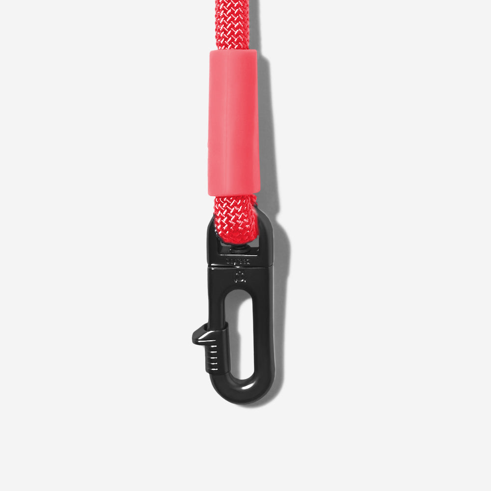 Correa Hands-Free para Perros Neon Coral