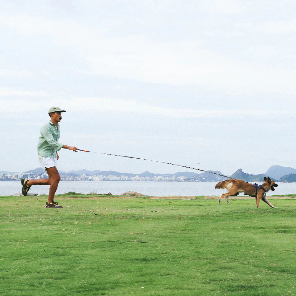Correa Long para Perros Leopard