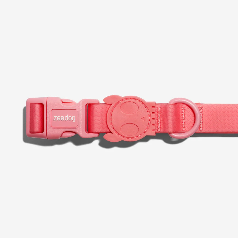 Collar para Perros Neopro Bubblegum