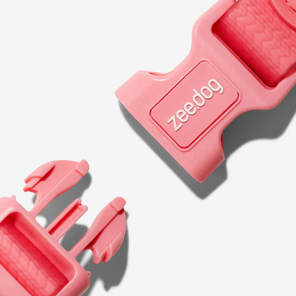 Collar para Perros Neopro Bubblegum
