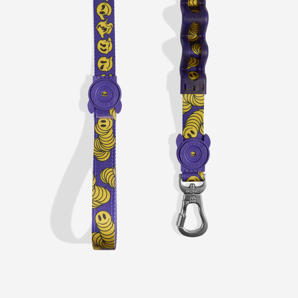 Correa Ruff con Amortiguador para Perros Zmiley